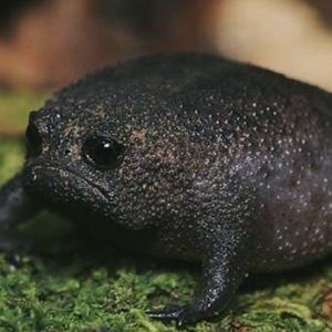 Meet your Posher, Aimee